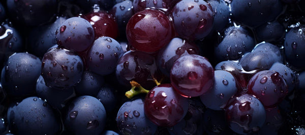 What are the Health Benefits of Resveratrol?