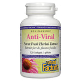 Bottle of Echinamide® Anti-Viral Herbal Extract 120 Softgels