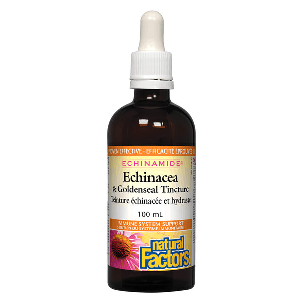 Dropper Bottle of Natural Factors Echinamide® Echinacea & Goldenseal Tincture 100 Milliliters
