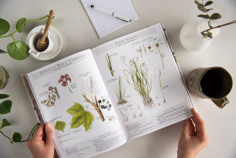 Foraging & Feasting: A Field Guide and Wild Food Cookbook