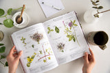Foraging & Feasting: A Field Guide and Wild Food Cookbook