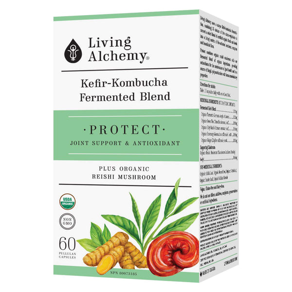 Box of Living Alchemy Kefir-Kombucha Fermented Blend Protect 60 Pullulan Capsules | Optimum Health Vitamins, Canada