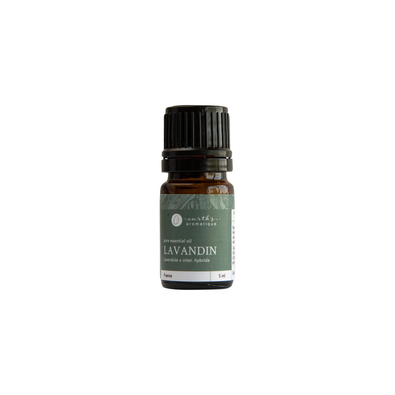 Earth's Aromatique - Lavandin 5 mL Essential Oil | Optimum Health Vitamins, Canada
