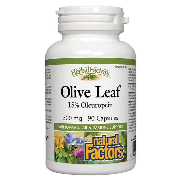 Bottle of Natural Factors Olive Leaf 500 mg 90 Capsules