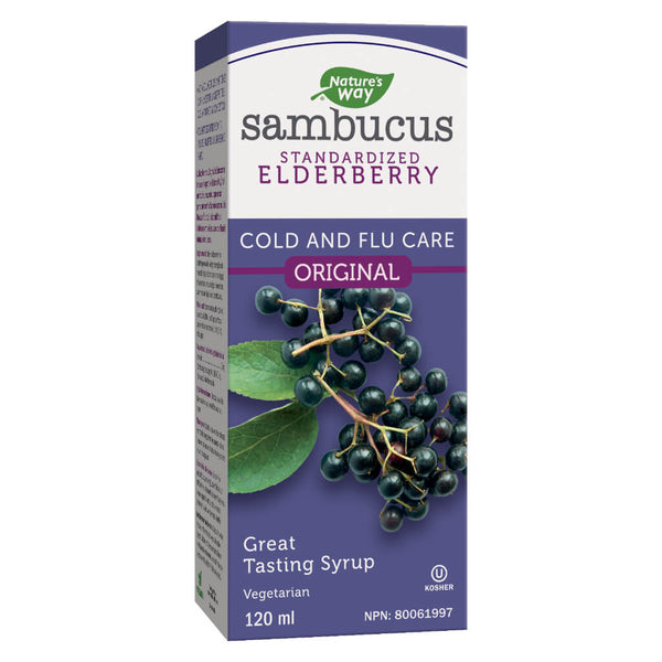 Box of Nature's Way Sambucus Standardized Elderberry 120 Milliletres