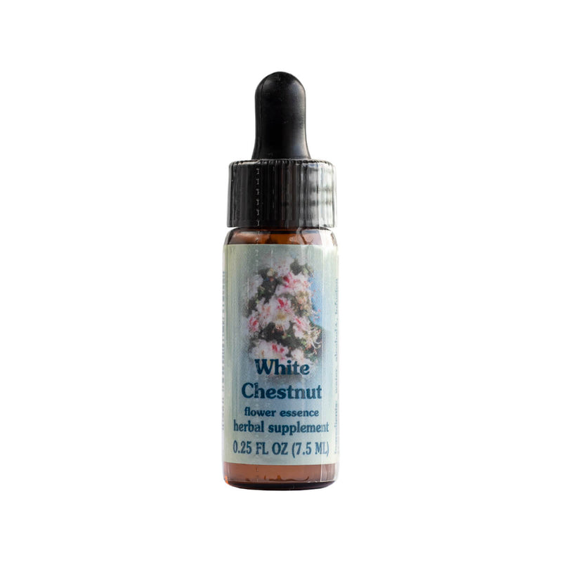 Dropper Bottle of White Chestnut Flower Essence 0.25 Fluid Ounces 7.5 Milliliters